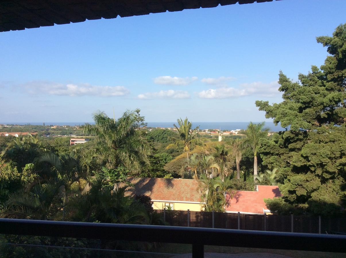 Palmwood Guesthouse 阿曼济姆托蒂 外观 照片